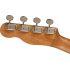 Fender Ukelele Zuma Concert Spalted Maple