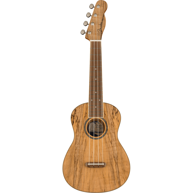 Fender Ukelele Zuma Concert Spalted Maple
