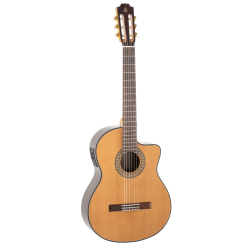 Admira A6 Serie Artesanía Fishman Cutaway