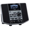 Roland JS-10 eBand