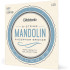 Daddario EJ73 Mandolin 10-38
