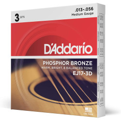 Daddario EJ17-3D 013-056