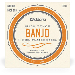 Daddario EJ63i Irish Tenor Banjo 9-30