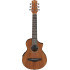 Ibanez EWP12WB-OPN