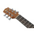 Ibanez EWP12WB-OPN