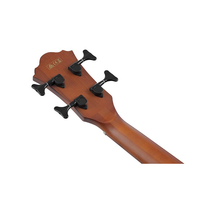 Ibanez AEGB30E-NTG Natural Gloss