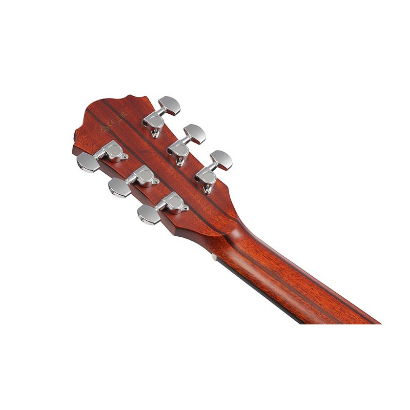 Ibanez AE440 Matural