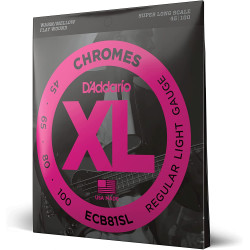 Daddario ECB81SL Flatwound 45-100