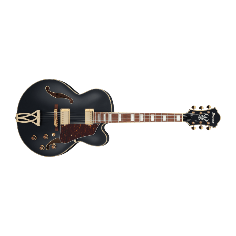 Ibanez AF75G Black Flat