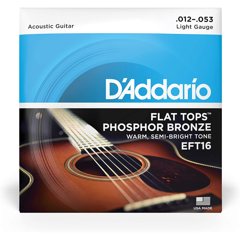 D’Addario EFT16 Flatwound Phosphor Bronze