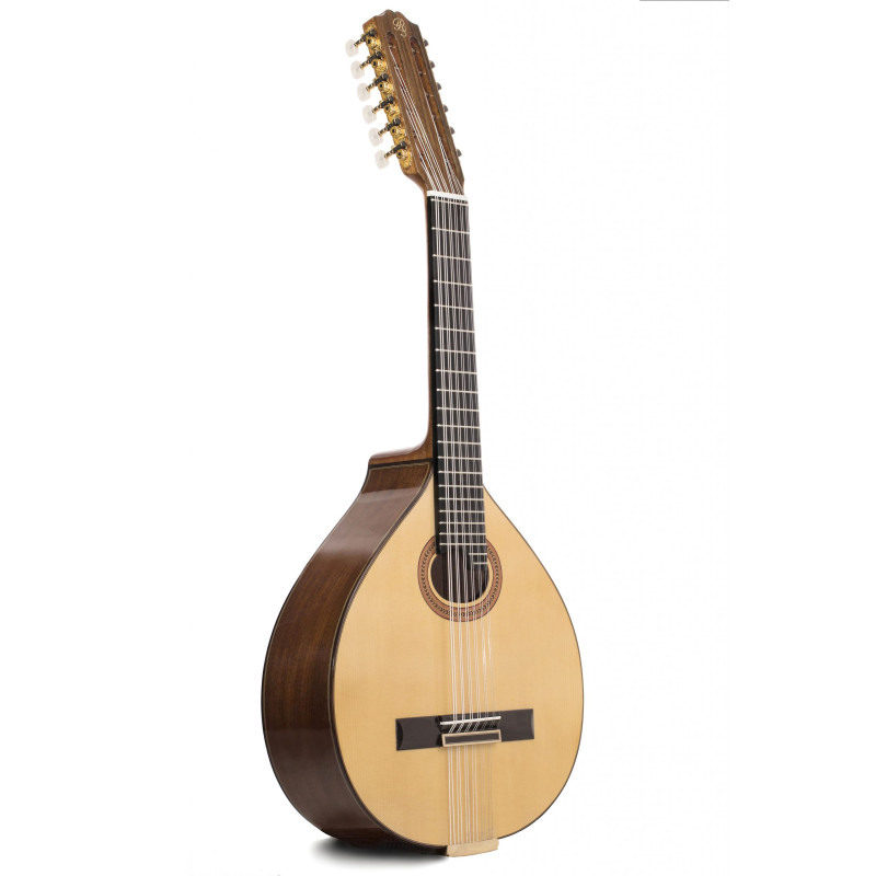 Prudencio Sáez 55 Laúd