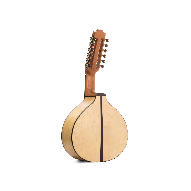 Prudencio Sáez 1700 Bandurria