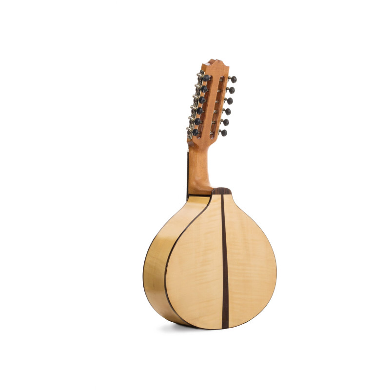 Prudencio Sáez 170 Bandurria