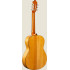 Camps Primera Flamenca