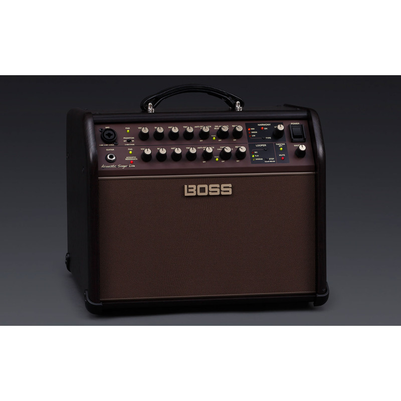Boss Acoustic Singer Live