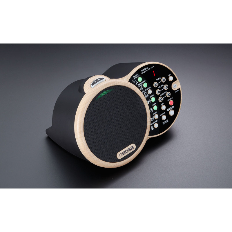 Boss DR-01S Rhythm Partner