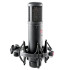 SE Electronics SE2200
