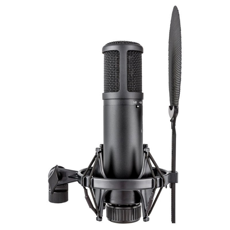 SE Electronics SE2200