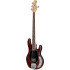 Sterling by Music Man Ray 4 MR Walnut Satin