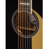 Fender Malibu Vintage Gold Pickguard Black