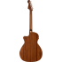 Fender Newporter Special Honey Burst