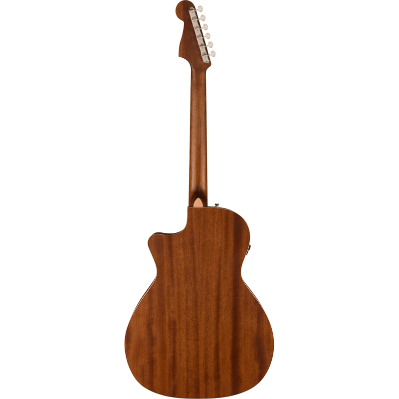 Fender Newporter Special Honey Burst
