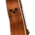 Fender Newporter Special Honey Burst