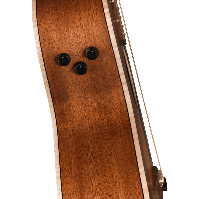 Fender Newporter Special Honey Burst