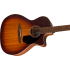 Fender Newporter Special Honey Burst