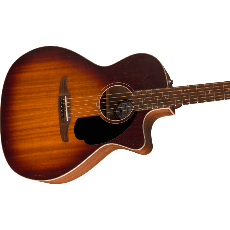 Fender Newporter Special Honey Burst