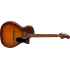 Fender Newporter Special Honey Burst