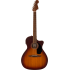 Fender Newporter Special Honey Burst