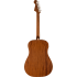 Fender Redondo Special Honey Burst