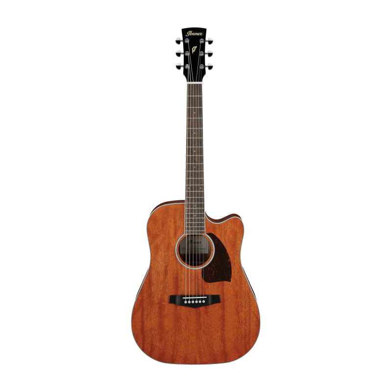 Ibanez PF16MWCE-OPN Open Pore Natural