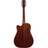 Ibanez PF16MWCE-OPN Open Pore Natural