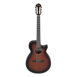 Ibanez AEG74N-MHS Mahogany Sunburst