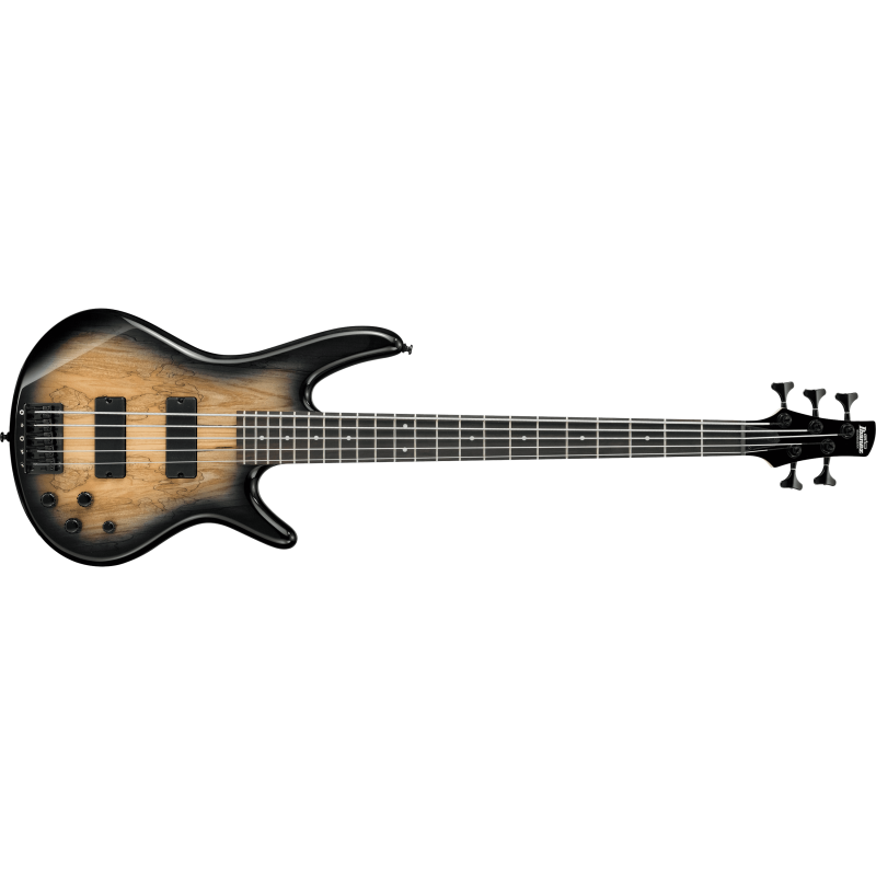 Ibanez GSR205SM-NGT Natural Gray Burst