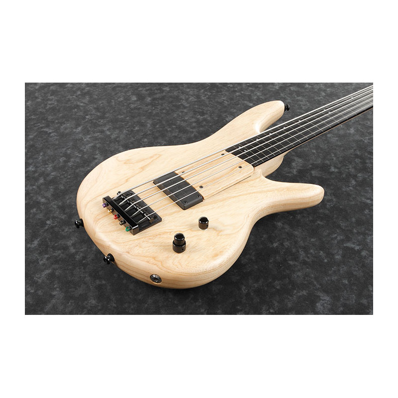 Ibanez GWB1005-NTF Gary Willis Signature