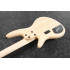 Ibanez GWB1005-NTF Gary Willis Signature