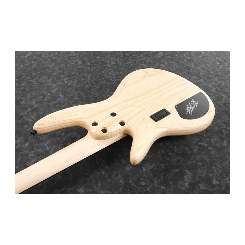 Ibanez GWB1005-NTF Gary Willis Signature