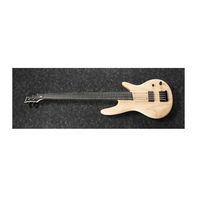 Ibanez GWB1005-NTF Gary Willis Signature