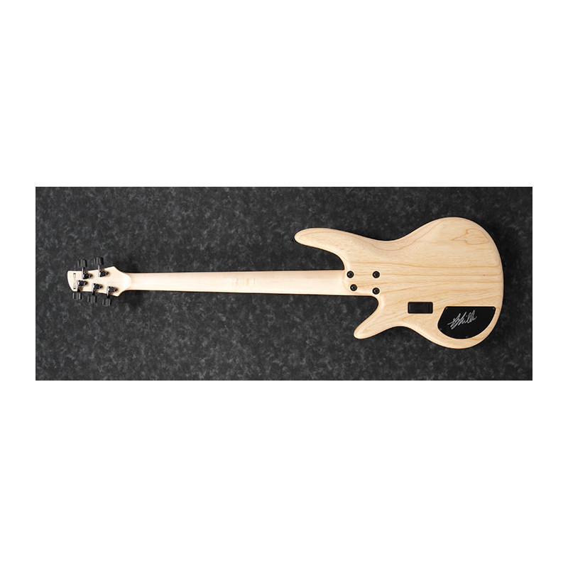Ibanez GWB1005-NTF Gary Willis Signature