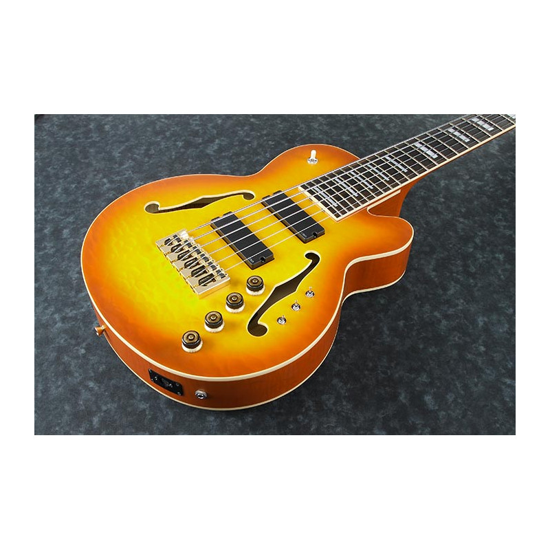 Ibanez TCB1006 Autumo Leaf Burst Matte