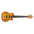 Ibanez TCB1006 Autumo Leaf Burst Matte