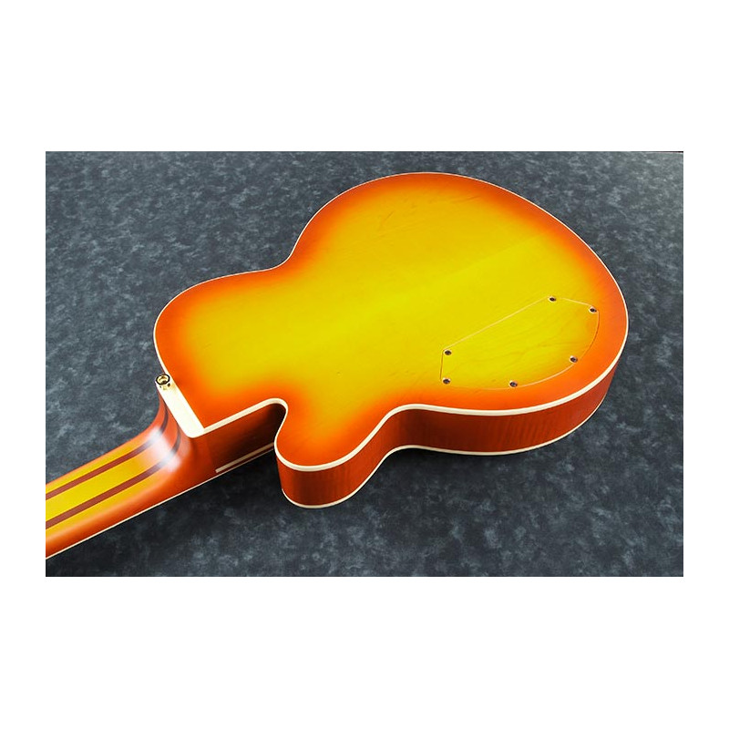 Ibanez TCB1006 Autumo Leaf Burst Matte