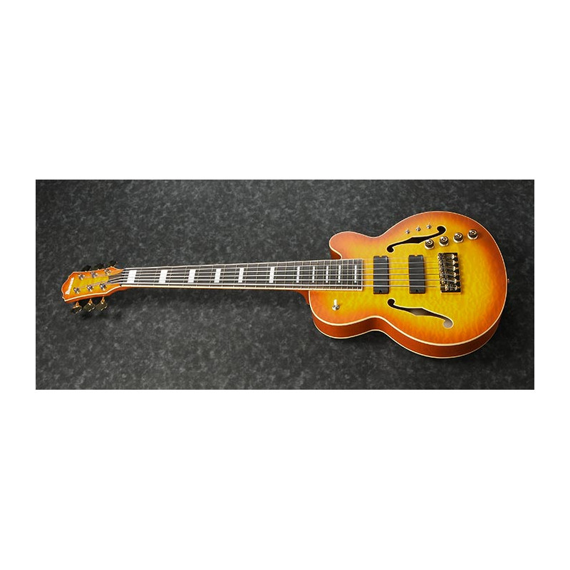 Ibanez TCB1006 Autumo Leaf Burst Matte