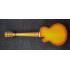 Ibanez TCB1006 Autumo Leaf Burst Matte
