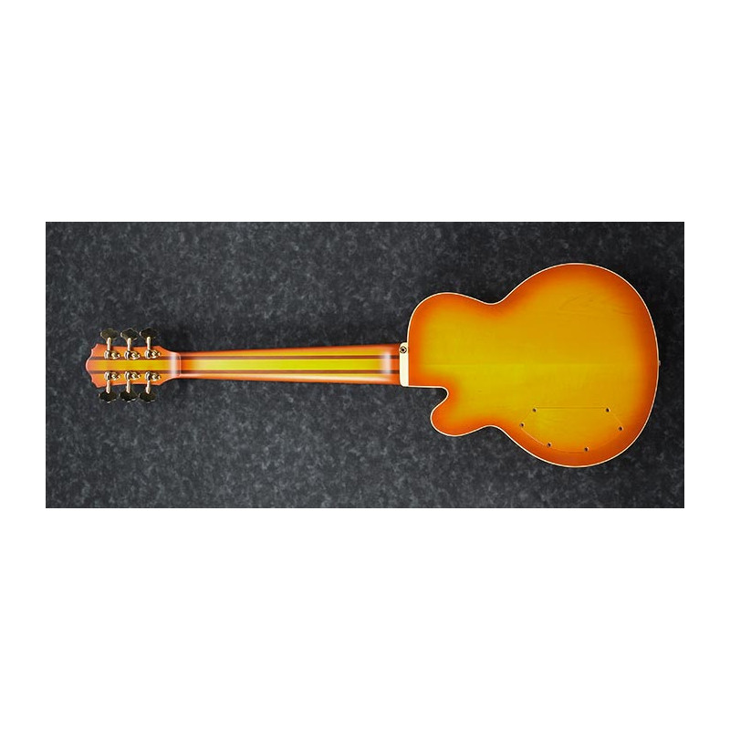 Ibanez TCB1006 Autumo Leaf Burst Matte