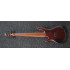 Ibanez SR506 Brown Mahogany
