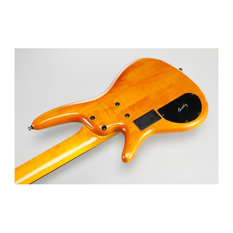 Ibanez GVB36 Ambar